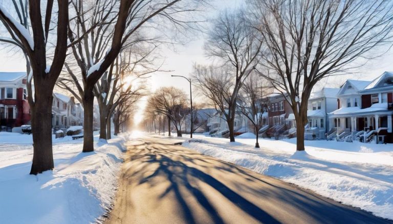 snow removal services brooklyn park